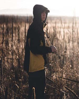 Image post by @urbangorillas on Instagram