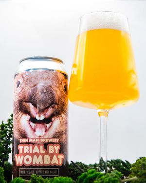 Image post by @thinmanbrewery on Instagram