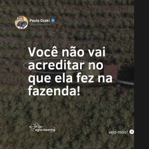 Image post by @agroresenha on Instagram