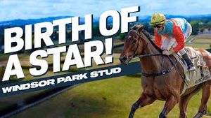 Video post by @worldhorseracing on YouTube