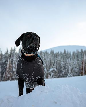 Image post by @garrett_lockrem on Instagram