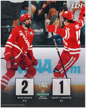 Image post by @everythingcollegehockey on Instagram