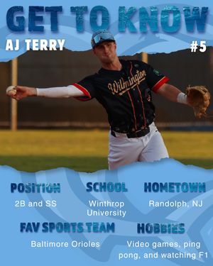 Image post by @ilmsharks on Instagram