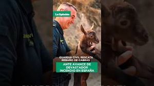 Video post by @laopinionla on YouTube