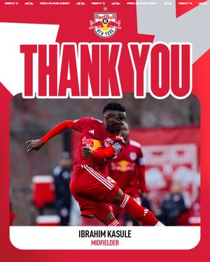 Image post by @NYRBII on Twitter