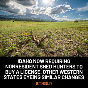 Image post by @outdoor_life on Instagram