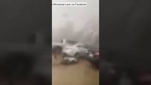 Video post by @wwltv on YouTube
