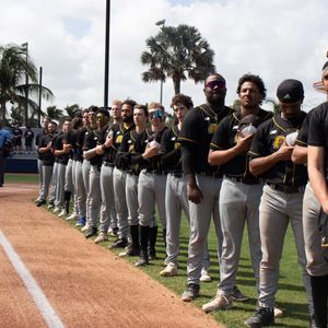 Image post by @aic_baseball on Instagram