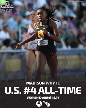 Image post by @dyestat on Instagram