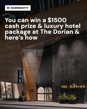 Image post by @curiocitycalgary on Instagram