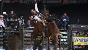 Video post by @pbr on YouTube