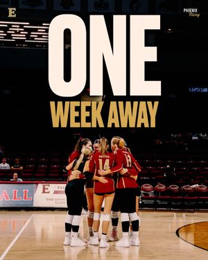Image post by @elonvb on Instagram
