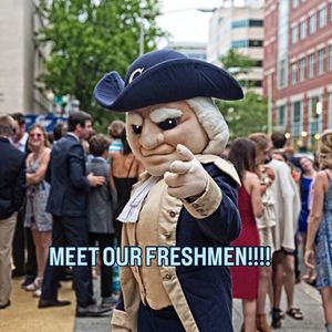 Image post by @gw_gymnastics on Instagram