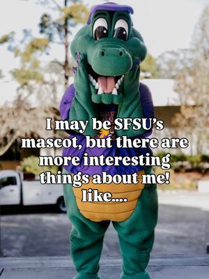 Image post by @sfsu_campusrec on Instagram