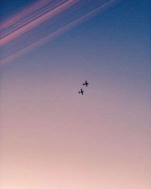 Image post by @goforbrandon on Instagram