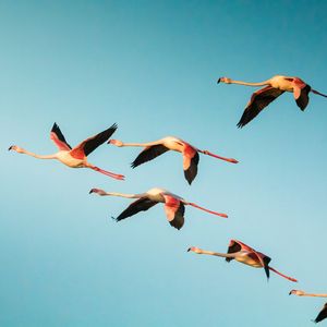 Image post by @discovery on Instagram