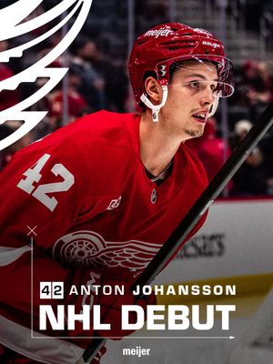 Image post by @DetroitRedWings on Twitter/X