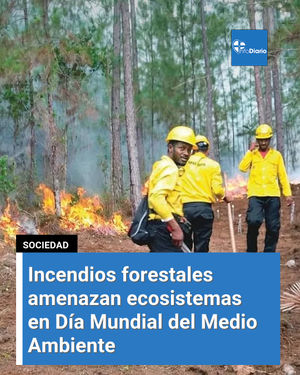 Image post by @infodiariord on Instagram