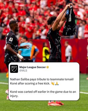 Video post by @mls on TikTok