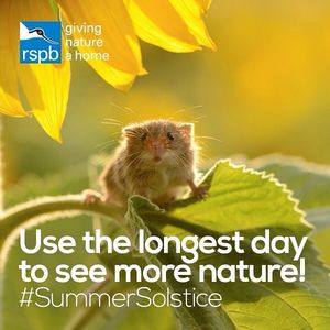 Image post by @rspb on Instagram