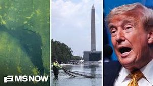 Video post by @msnbc on YouTube