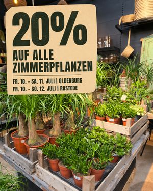 Image post by @oldenburgerwohngarten on Instagram
