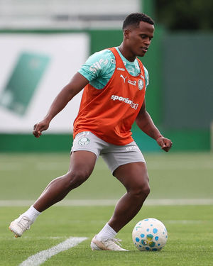 Image post by @palmeiras on Instagram