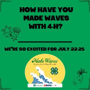Image post by @northcarolina4h on Instagram