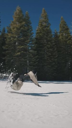 Video post by @arthaimage on Instagram