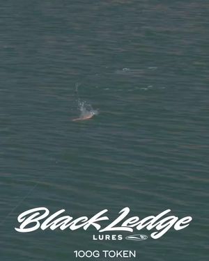 Image post by @black_ledge_lures on Instagram
