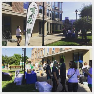 Image post by @marshallu on Instagram