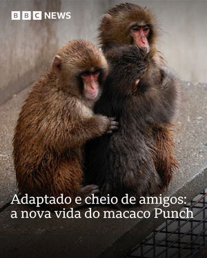 Image post by @bbcbrasil on Instagram