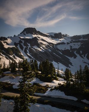 Image post by @foxandlens on Instagram