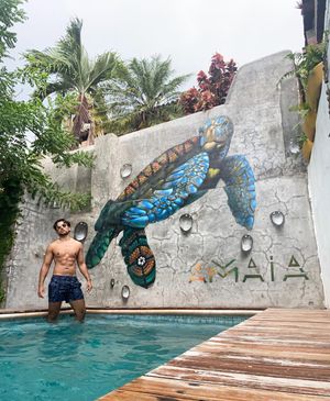 Image post by @theguyfrommexico on Instagram