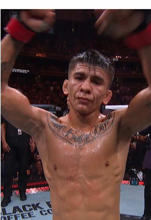 Video post by @ufc on TikTok