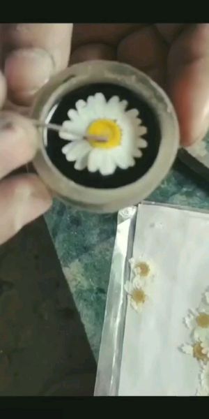 Video post by @leafyaffair on Instagram