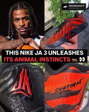 Image post by @soleretriever on Instagram