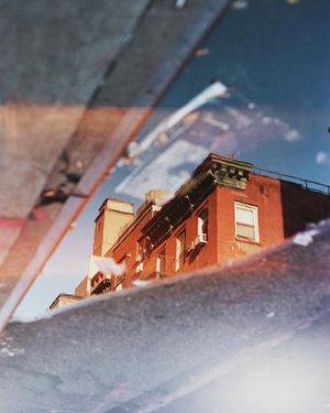 Image post by @camilleshaw on Instagram