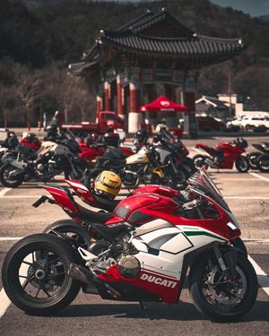 Image post by @panigalers on Instagram
