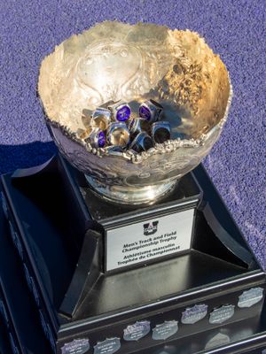 Image post by @westernmustangs on Instagram