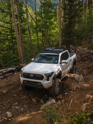 Image post by @dobinsonsusa on Instagram