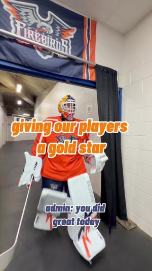 Video post by @flintfirebirdsofficial on TikTok