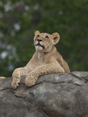 Image post by @denverzoo on Instagram