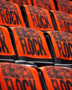 Image post by @anaheimducks on Instagram