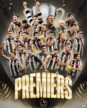 Image post by @afl on Instagram