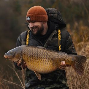 Image post by @brothercarp on Instagram