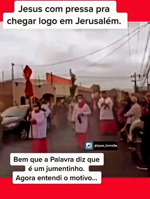 Image post by @padreribeiro.celebrante on Instagram