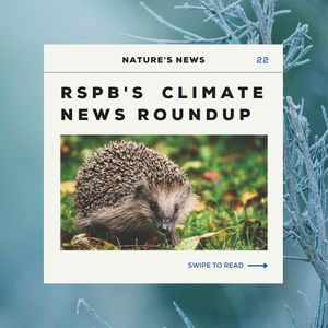 Image post by @rspb on Instagram