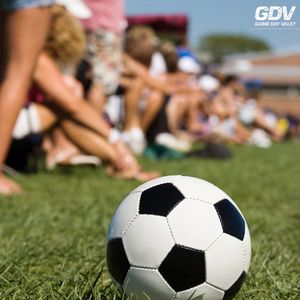 Image post by @gamedayvalet on Instagram