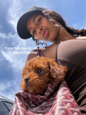Video post by @avac222 on TikTok